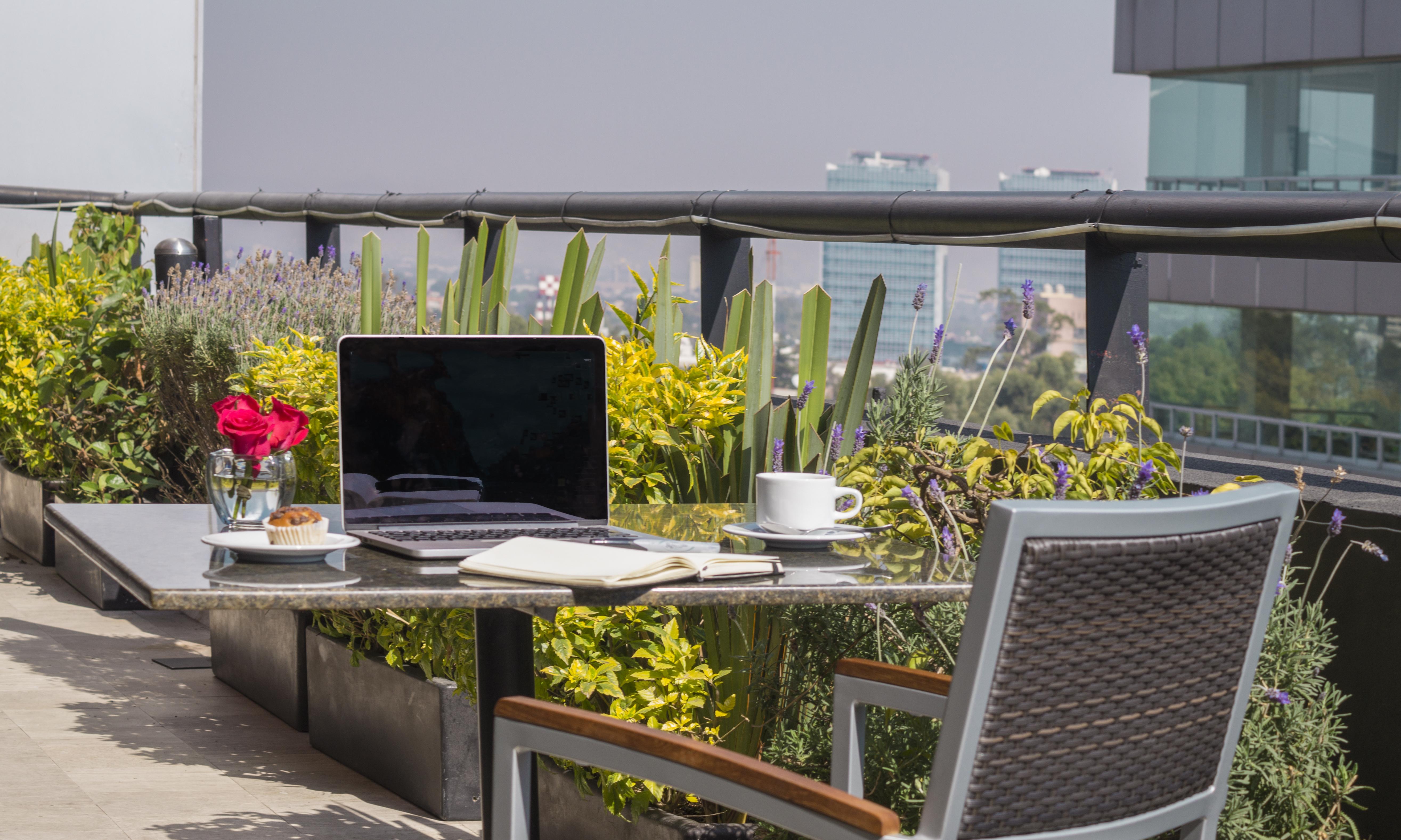Hotel Alteza Polanco Meksyk Zewnętrze zdjęcie